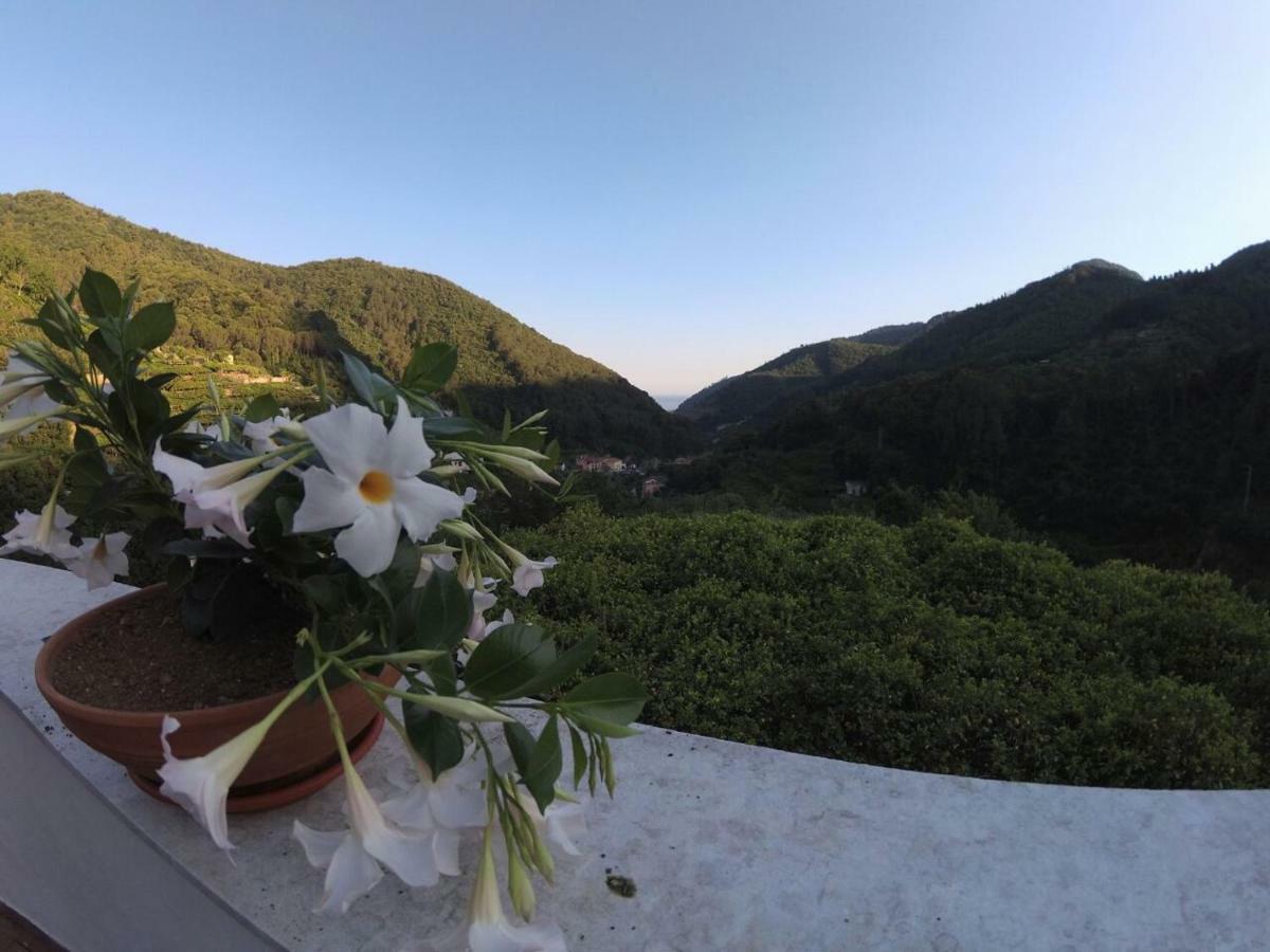 特拉蒙蒂布甘维尔住宿加早餐旅馆住宿加早餐旅馆 外观 照片